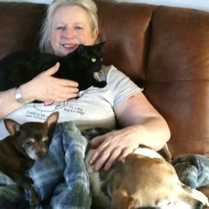 Meet your Posher, Callie